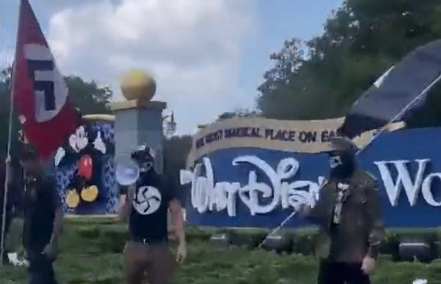 Protestors Holding Nazi Flags