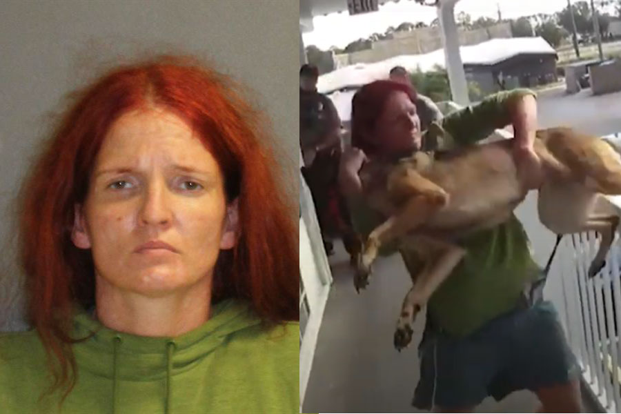 Deputies and Daytona Beach police responded to the Motel 6 around noon Monday after motel staff reported that Murphy had been standing over the railing, threatening to jump off, and attacked one of the maids. When deputies arrived, Murphy was locked inside her room.