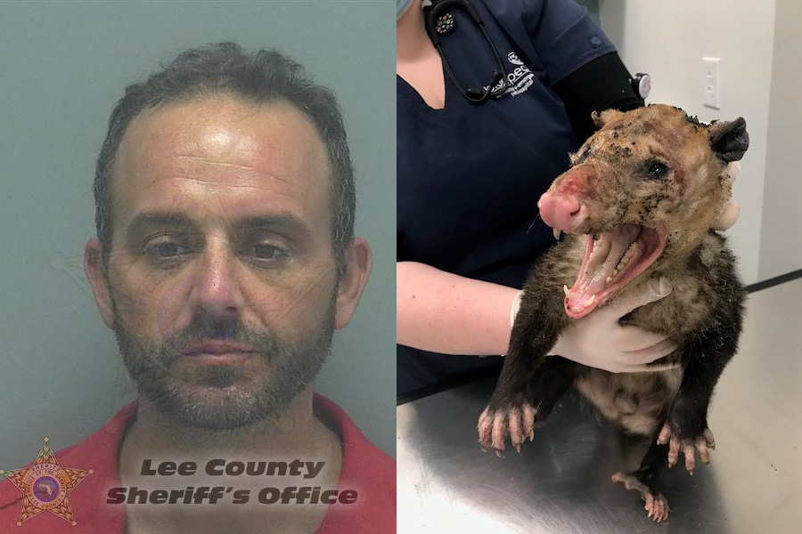 Bryan Werner, 39, was arrested for aggravated animal cruelty and has been booked into the Lee County Jail after fingerprints and palm prints from a tin acetone can linked him to the crime.