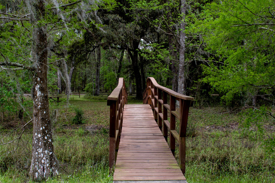 The 157k-acre Withlacoochee State Forest in the western central part of Florida, near Lecanto, Inverness, Floral City, Brooksville, Ridge Manor, and Dade City. 