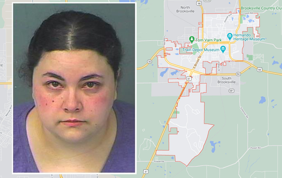 Kelley Gaudette, 32, was arrested and charged with lewd and lascivious battery on a victim older than 12 but less than 16 years of age, principle to traveling to meet a minor, unlawful use of a two-way communication device, and transmission of harmful materials to a minor using an electronic device. 