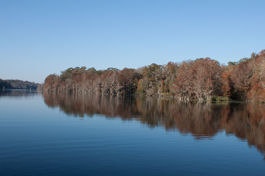 Tree reflections on the Mill Pond in Marianna, Florida. Photo credit ShutterStock.com, licensed.
