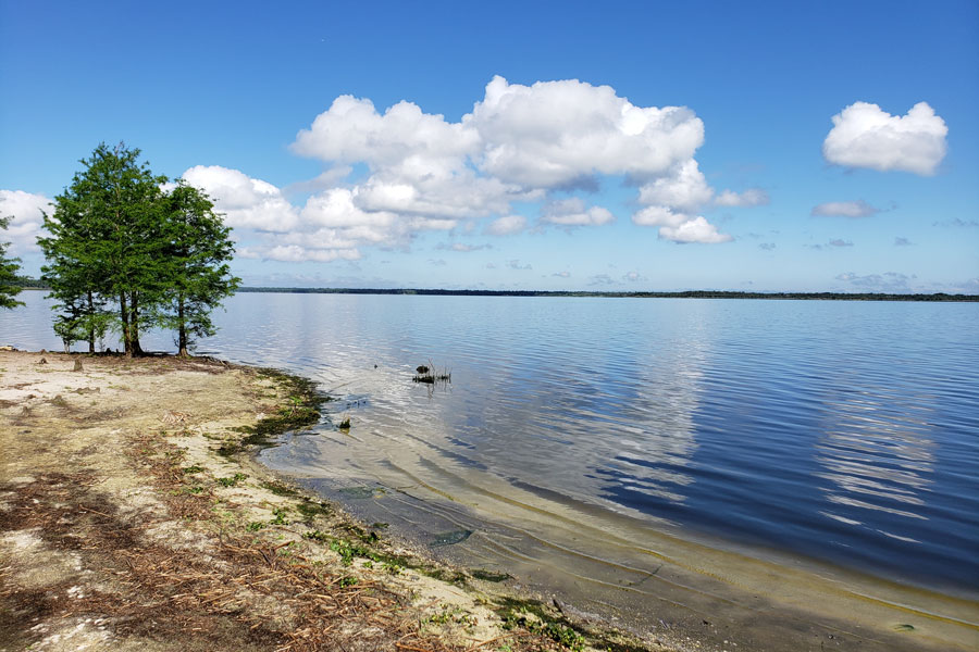 Located in the heart of Seminole County along the middle basin of the St. Johns river, Lake Jesup is one of the largest lakes in Central Florida.  