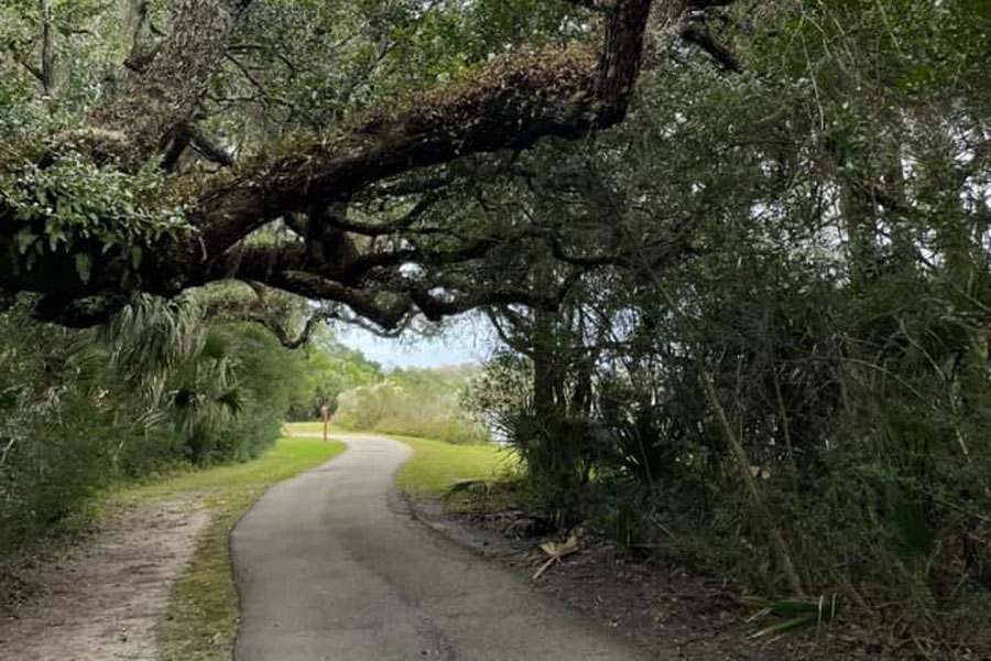 Nestled within Linear Park, St. Joe Walkway trail system connects to the Intracoastal Waterway and the Intracoastal Waterway trails. 