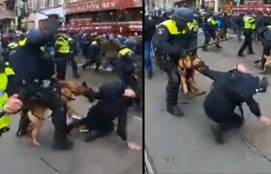 People mauled by police dogs, beaten with batons at unauthorized protest against Covid restrictions in #Amsterdam.