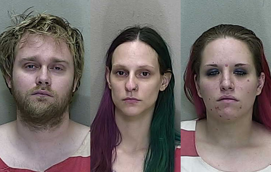 Zachary Wayne Turpin, 28, and his two girlfriends, Kendra Marie Long, 28, and Annabelle Riquelle Lagiglia, 26, for capital sexual battery on a child.