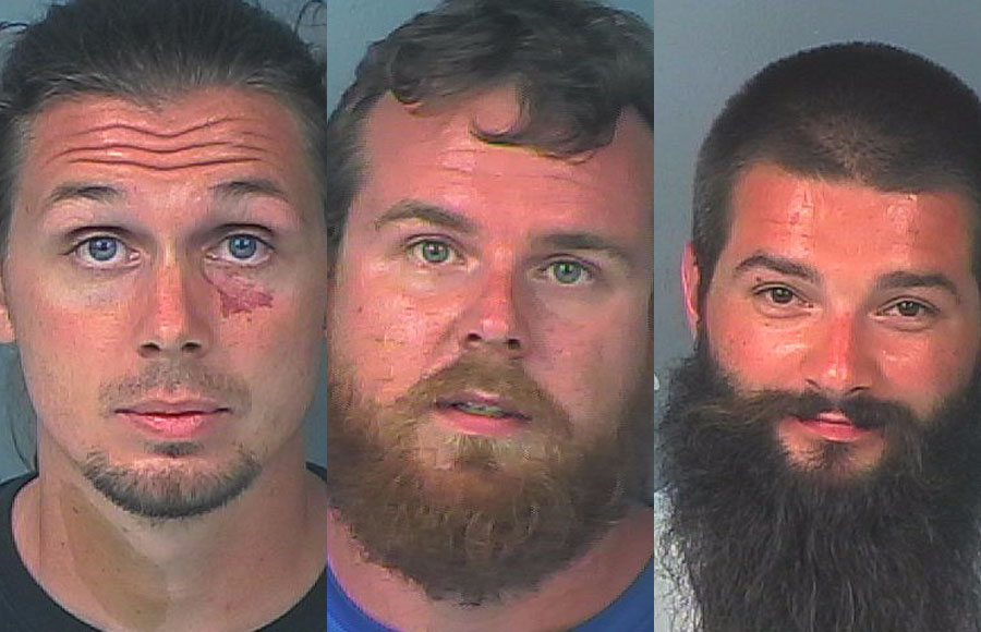 According to authorities, Aaron Ward, 29 , James Donnelly, 28, and Oleksiy Naumenko, 27, were each arrested on a charge of Grand Theft. They were transported to the Hernando County Detention Center where they were each held in lieu of a $2,000 bond.